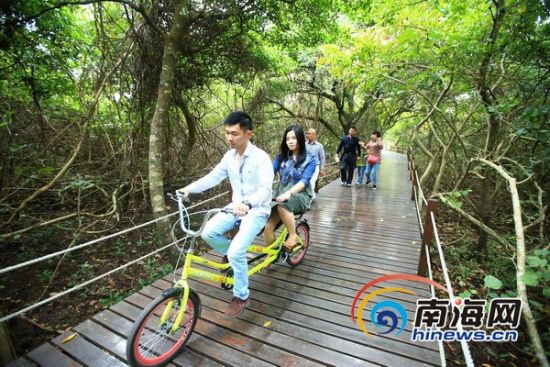 報告解讀之產業：海南今年爭取新增1個5A級景區支持新能源汽車