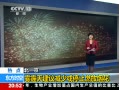 政府建議少放煙花