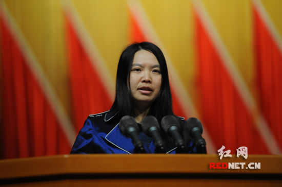 楊洪明委員：從三個方面提高湖南能源自給能力