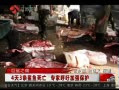 漁民4天連撈3條鯊魚