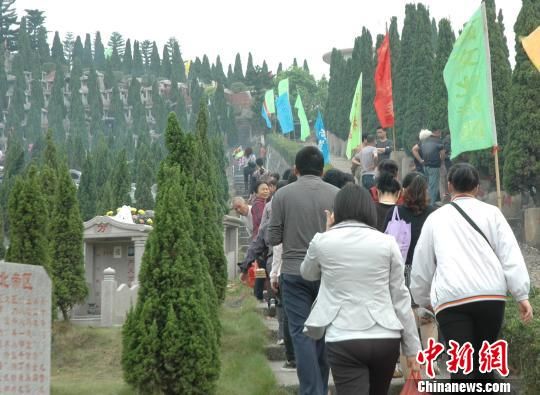 廣東茂名：清明祭祀低碳環保漸趨時尚(圖)
