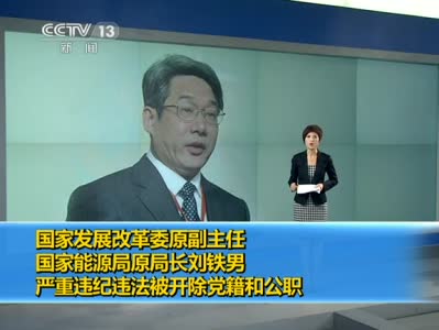 視頻：原國(guó)家能源局局長(zhǎng)劉鐵男被開除黨籍公職