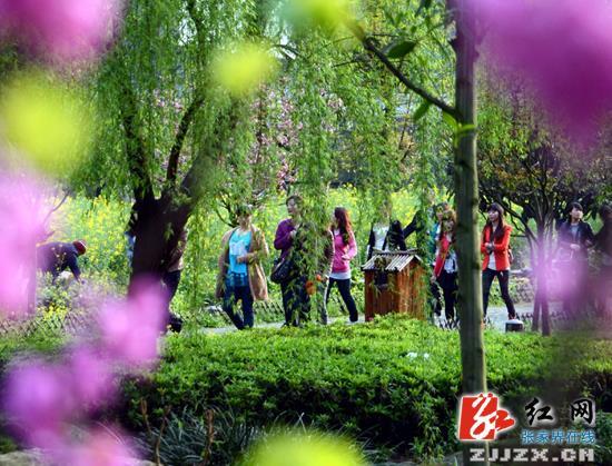 武陵源進入旅游旺季清新環保型產品占主角