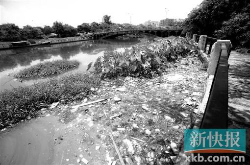 車陂涌水質數據一直在“過山車”中。(資料圖片)新快報記者 王翔/攝