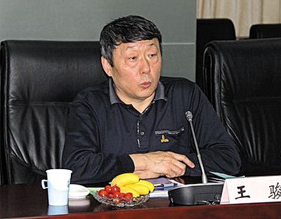 國家能源局新能源和可再生能源司司長王駿。